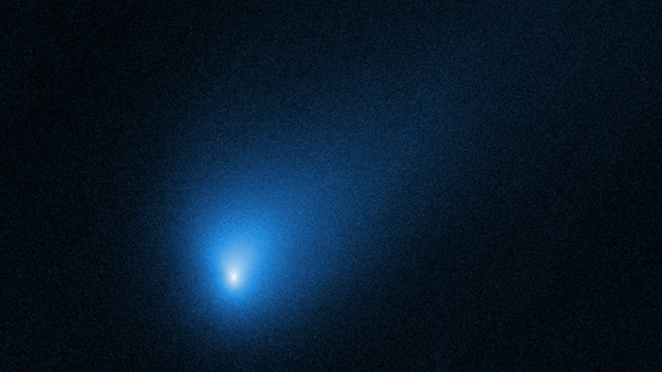 The comet 2I/Borisov as imaged by the Hubble Space Telescope on October 12. Borisov will swing by the sun and then head back into deep space.