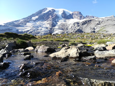 Mount Rainier in Washington