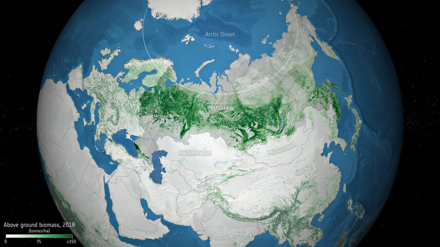 Above ground biomass in Russia