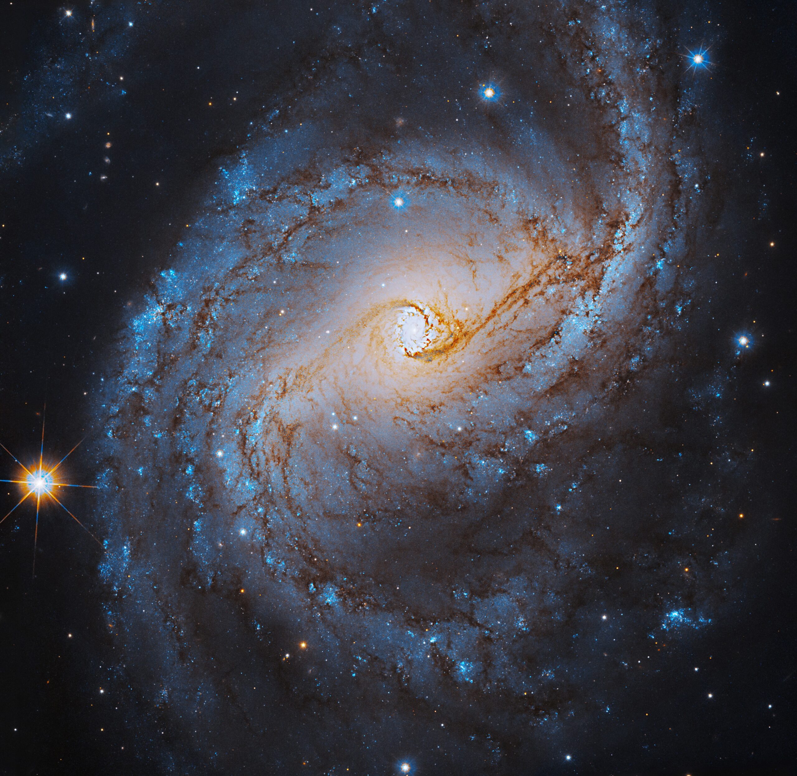 A nearly face-on spiral galaxy with a bright-white core with two dark, orange-brown dust lanes swirling out from it. Those dust lanes extend into the galaxy’s spiral arms where bright, blue-white pockets of stars and hazy clouds define the spiral.