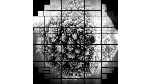 Romanesco broccoli, as seen by a 3.2 billion pixel camera. Scientists chose to take a picture of the broccoli because of its fractal shape.