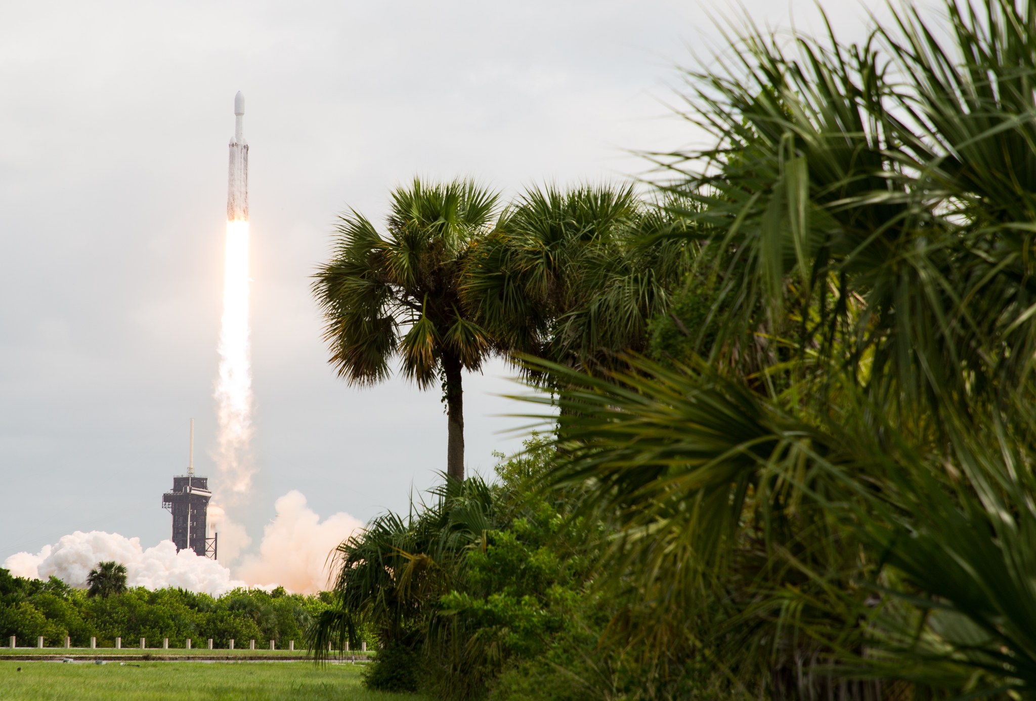 In the distance, a SpaceX Falcon Heavy rocket launches with the Psyche spacecraft onboard. They are gray and almost blend in with the sky. A bright blaze extends from the bottom of the rocket and clouds of smoke roll just above the trees. Palm trees on the right take up the majority of the foreground.