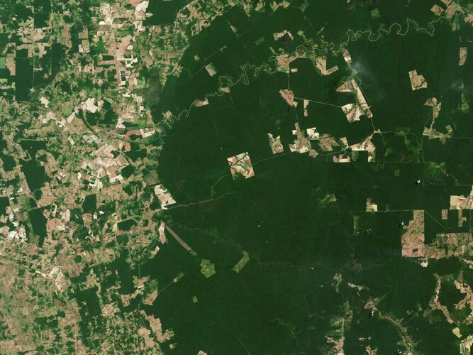 Tropical forest around the Capim River, Brazil