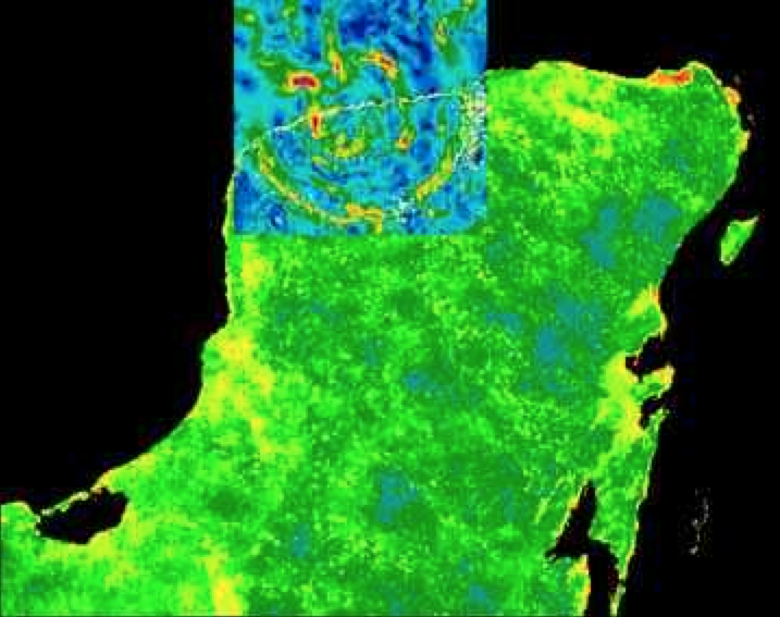 A gravity anomaly map of the Chicxulub Crater in Mexico’s Yucatan Peninsula, the impact site of the asteroid that caused the extinction of 75 percent of Earth’s species including the dinosaurs 65 million years ago.